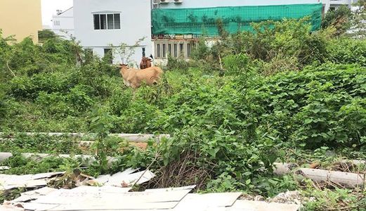 Bán Nền Mặt Tiền Lộ 47M Kdc Xây Dựng_Sổ Hồng Trao Tay