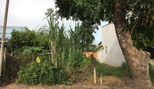 Dứt Khoát 1 Lời Không Ai Phải Buồn_ Nói Giá Được Tui Bán Ngay Và Luôn