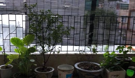 Nhà Ngõ Tô Vĩnh Diện 45M2 X 6, Mt 4m, Phân Lô, Giá 4.65 Tỷ