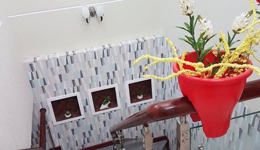 Bán Nhà 1 Trệt 1 Lầu Kdc Hưng Phú Đối Diện Chung Cư