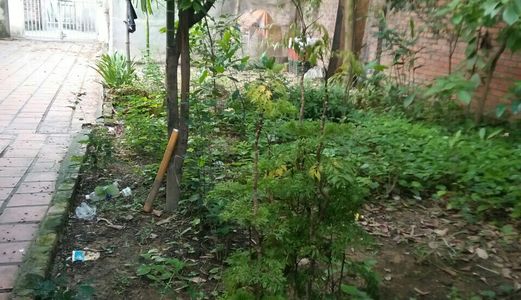 Cần Bán Gấp Lô Đất Chính Chủ Sổ Đỏ Tại Quang Minh Mê Linh Hn