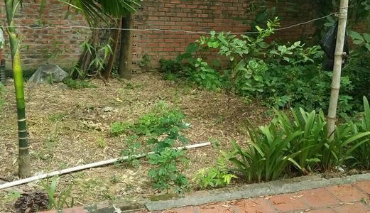 Cần Bán Gấp Lô Đất Chính Chủ Sổ Đỏ Tại Quang Minh Mê Linh Hn