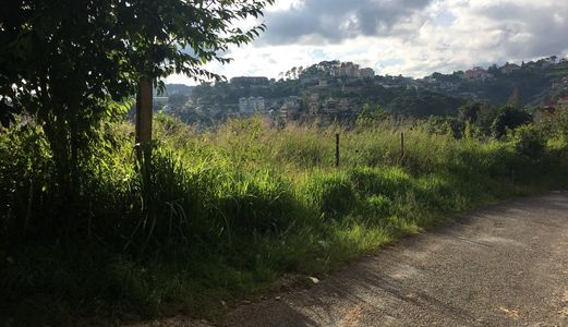 Bán Đất Đường Hoàng Hoa Thám, Phường 10, Đà Lạt - 1000M2 - 8,5 Tỷ Đ2692