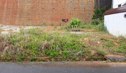 Bán Đất Đường Kqh Viện Nghiên Cứu Hạt Nhân, Phường 11, Đà Lạt - 208M2 - 6,5 Tỷ Đ2695