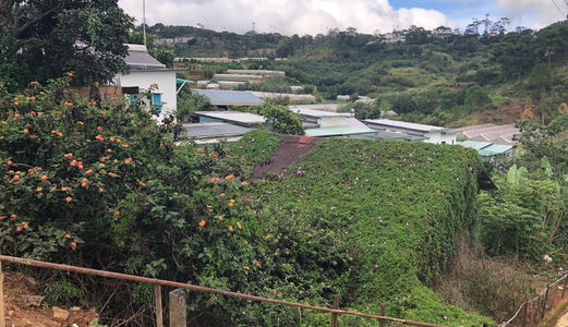 Bán Đất Đường Triệu Việt Vương, Phường 4, Đà Lạt - 1300M2 - 22 Tỷ Đ2701