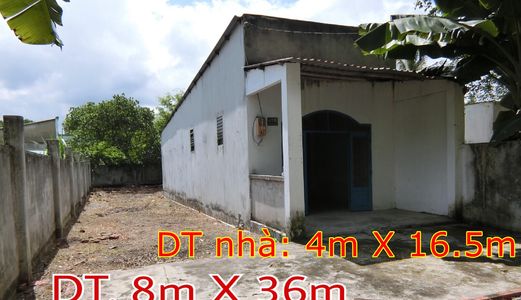 Bán Đất Nguyễn Thị Nê 8M X 36M Kèm Nhà Cấp 4 Sh Chính Chủ Thổ Cư 100% Có Tường Bao Quanh