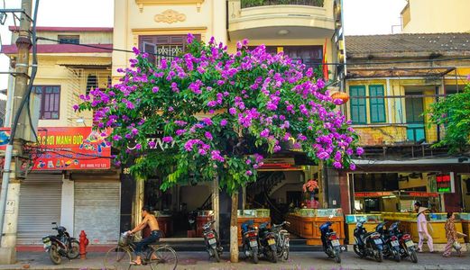 Cho Thuê Vị Trí Đẹp Nhà Mặt Phố Đường Cầu Đất Dt: 100M2, 4 Tầng