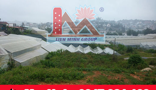 Bán Đất Đường Trần Đại Nghĩa, Phường 8, Đà Lạt Giá 3.25 Tỷ. Lh: 0947 981 166