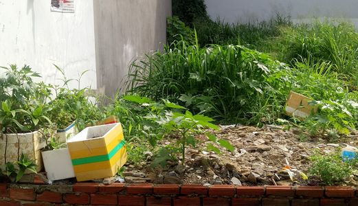 Bán 88M2 Đất Đường Lê Văn Thịnh Phường Cát Lái Quận 2 Giá 34Tr/m