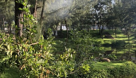 Biệt Thự Nghĩ Dưỡng Mang Phong Cách Đà Lạt Nằm Ngay Bờ Biển Tại Vũng Tàu