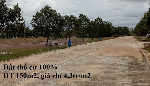 Bán 300M2 Đất Thổ Cư Đường Dl16, Cách NE8 100M, Giá 1,29 Tỷ