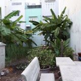 Chính Chủ Bán Đất Thổ 100%, 60M2, Bùi Tư Toàn, Bình Tân Giá 1,32 Tỷ