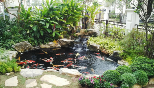 Tôi Đang Kẹt Tiền Muốn Để Lại Nhà Vườn 842M2 Sổ hồng riêng, Có 356M2 Thổ cư - Giá 2,7 Tỷ