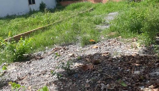 Chỉ 2 Nền Đất Ngay Uỷ Ban Xã Tân Hiệp-Sổ Hồng Riêng-Đường Lớn.Xây Dựng Tự Do