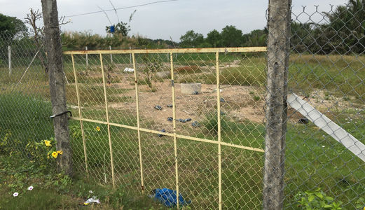 Đi Úc.Bán 1750M2 Đất Có 1155M2 Thổ Cư,Mặt Tiền Ql 50,Bình Chánh-1,6Tỷ-Sổ Hồng Riêng-Đẹp  0927285250