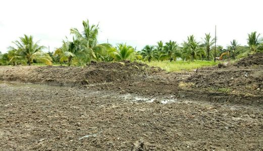 Dự Án Minh Trí Cái Tắc Giai Đoạn 2