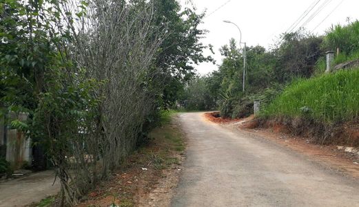 Bán Đất Đường Đống Đa, Phường 3, Đà Lạt - 3624M2 - 145 Tỷ Đ2766