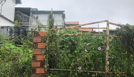 Bán Đất Đường Bạch Đằng, Phường 7, Đà Lạt - 448,02M2 - 4,8 Tỷ Đ2770
