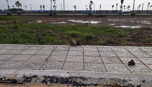 Đất Long Hải Nằm Ngay Mặt Tiền Biển Đại Lộ 44A