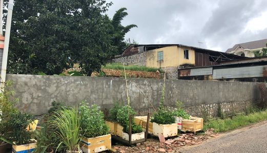 Bán Đất Đường Đinh Công Tráng, Phường 7, Đà Lạt - 484,5M2 - 8,8 Tỷ Đ2780