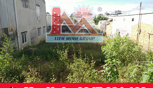 Bán Nhà Đường Vạn Hạnh, Phường 8, Đà Lạt Giá 5.3 Tỷ