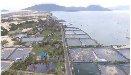 Sở Hữu Ngay Đất Đặc Khu Kinh Tế Vịnh Bắc Vân Phong - Khánh Hoà. Giá 2850000/m2