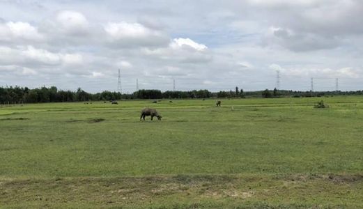 Đất Nền Xã Vĩnh Thanh, Nhơn Trạch Gần Vành Đai 3