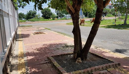 Bán Đất Dự Án Bà Riạ Dola Center Ngay Cổng Chào Long Hải, Sổ Hồng Từng Lô, Xdtd Lh: 0938065901