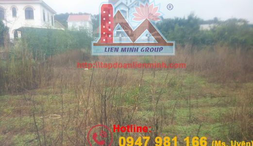 Bán Đất Bằng Phẳng, Hẻm Ô Tô Mai Anh Đào, Phường 8, Đà Lạt