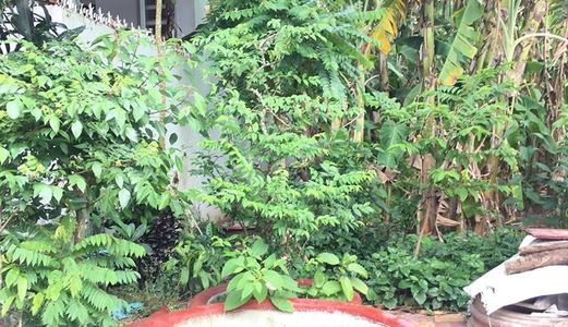 Bán Nền Đường Số 10 Khu dân cư Diệu Hiền, Cái Răng, Tp. Cần Thơ.