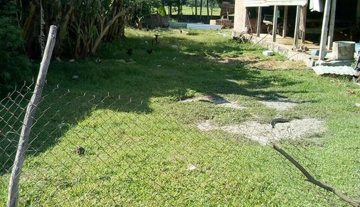 Cần Bán Lô Đất Dt 5X34 Giá 800 Triệu, Sổ Hồng Riêng Chính Chủ Bao Sang Tên Công Chứng,