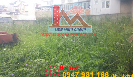 Bán Lô Đất Xây Dựng Khu Biệt Thự Anada, Phường 8, Đà Lạt