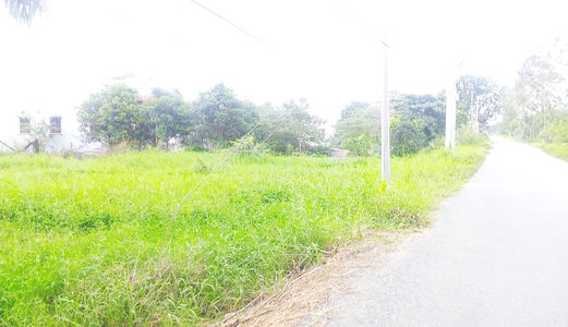 Bán Gấp 1152M2 Đất Có 752M2 Thổ Cư. Mặt Tiền Phạm Tấn Mười 1,8 Tỷ Shr-01269744338