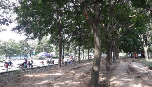 23 Triệu/m2. Đất Mặt Tiền Đường Số 7, Bình Hưng Hòa B, Bình Tân