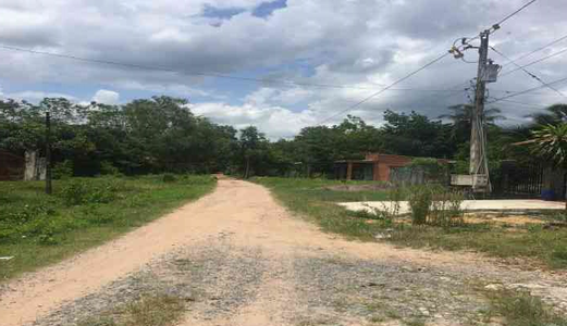 Bán Đất Vườn Trồng Lan Thơ Mộng Với Số Lượng Và Đầu Tư Khủng Tại Trảng Bàng Tây Ninh