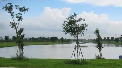 Đất Khu dân cư Bệnh viện Nhi Đồng 3, Chợ Rẫy 2, Thổ Cư 100%, Sổ Hồng Riêng, 560 Triệu/nền