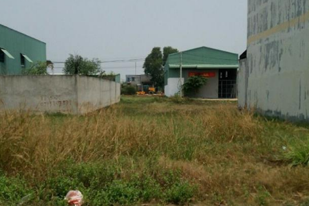 Đất Nền Bình Chánh Giá Rẻ, Thổ Cư 100%, Sổ hồng riêng, Xây Dựng Tự Do