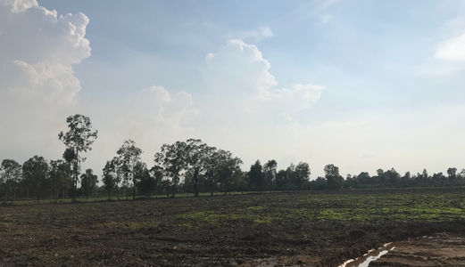 Thanh Lý Đất Bến Lức, Long An 750 Triệu/500M2. Lh: 0902.924.366