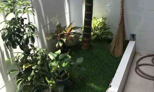 Bán Nhà Trệt Với Trang Trí Nội Thất Và Thiết Kế Hiện Đại Theo Xu Hướng Phương Tây Tại Quận Thủ Đức