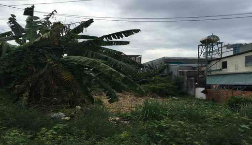 Bán Đất Thổ Cư Trong Khu Dân Cư Ổn Định Xây Dựng Tự Do Tại Quận Thủ Đức