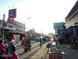 Sở Hữu Ngay Lô Đất Mặt Tiền Đường Chỉ 310 Triệu