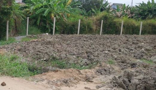 Sổ Hồng Riêng 1477M2 Có 992M2 Thổ Cư Ngang 39,2M - Mặt Tiền Đường Huỳnh Minh Mương - Lh 0945716365