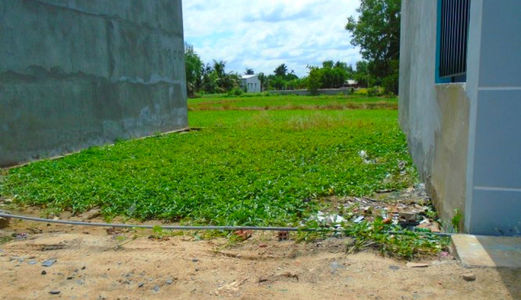 Kdc Cầu Vượt Nguyễn Văn Linh Quốc Lộ 1 Giá 569Tr/Nền, Sổ Hồng Riêng 