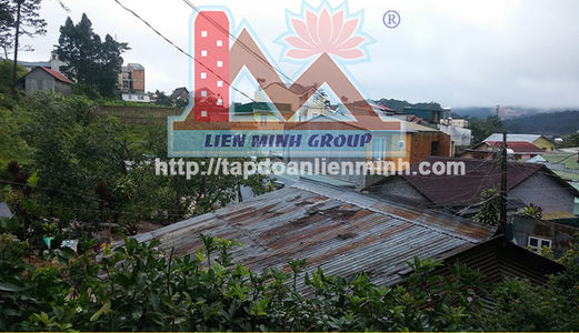 Đất Thế Cao, View Rừng Thông Đường Hẻm Xe Máy Ngô Quyền, Phường 6, Đà Lạt