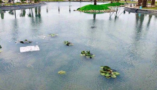 Bán Đất Kcn Nhơn Trạch Giá Chỉ 680Tr/nền Lh: 0931100811