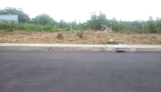 Tôi Cần Bán Đất Nhà Bè Đã Phân Lô