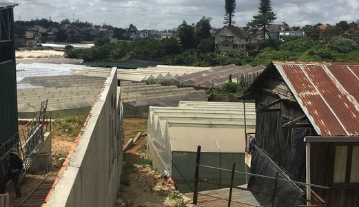 Bán Đất Đường Xô Viết Nghệ Tĩnh, Phường 7, Đà Lạt - 1127M2 - 21 Tỷ Đ2816