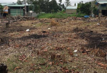 Bán 486M2 Đất Liên Ấp 4-5 Cách Quốc Lộ 50 - 200M, Xây Dựng Tự Do Giá 6 Triệu/m2.