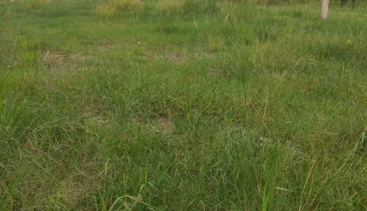 Cần Bán Gấp Lô Đất 420M2 Đường Song Hành Quốc Lộ 22 - Giá 1,6 Tỷ - LH: 01266.931.399