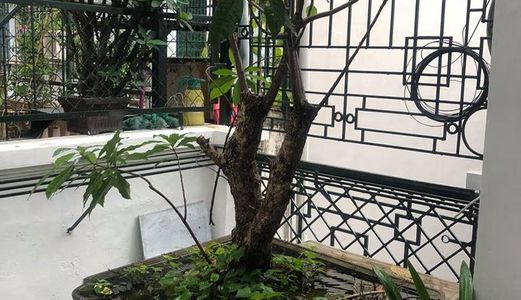 Hot! Hot! Biệt Thự Đẹp! ÔTô! Phố Thái Hà 66m2, 4T, 7.5 Tỷ